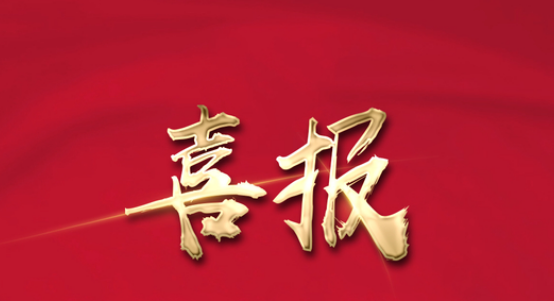 喜報 | 湖南東家樂家裝榮獲“長沙市裝飾行業突出貢獻獎”&“長沙市裝飾行業標桿企業獎”